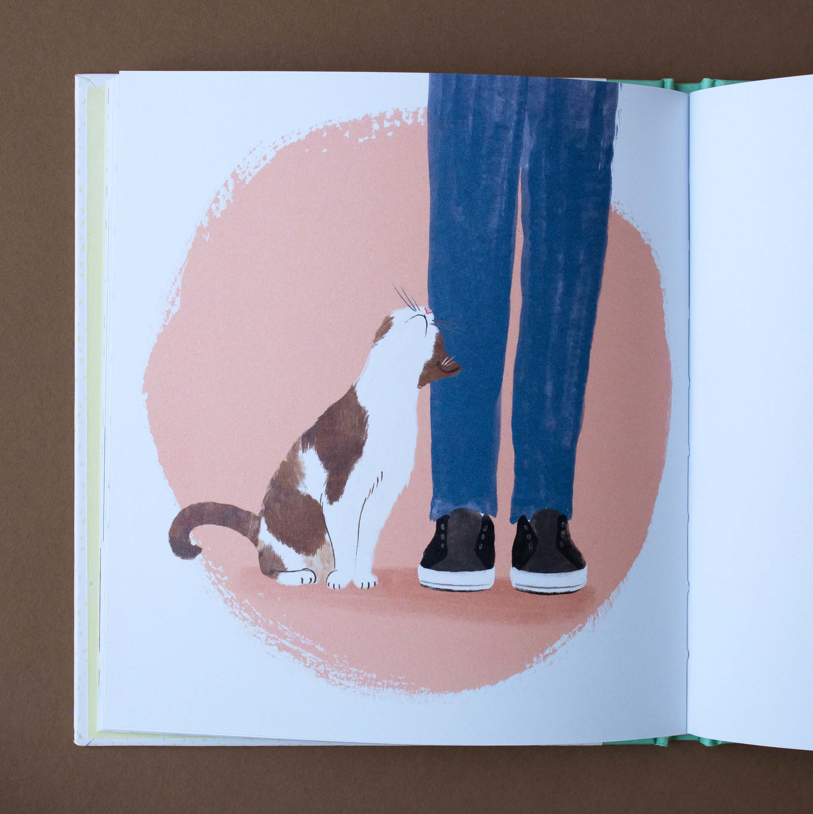 interior-page-illustration-with-cat-nudging-owners-leg