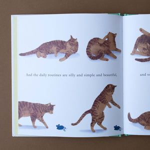 interior-page-illustrated-with-cat-movements