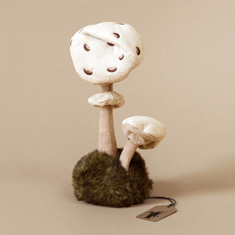 wild-nature-parasol-mushroom-duo-in-fuzzy-green-base