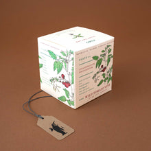 Load image into Gallery viewer, wild-tomato-vine-candle-with-plantable-box