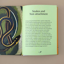 Load image into Gallery viewer, open-book-showing-a-green-page-with-text-about-snakes-and-non-attachment