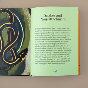 open-book-showing-a-green-page-with-text-about-snakes-and-non-attachment