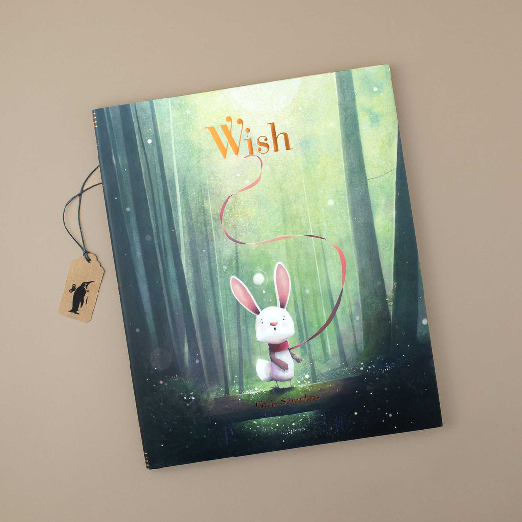 front-cover-wish-book-illustrated-white-bunny-in-forest