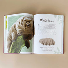 Load image into Gallery viewer, interior-page-about-water-bears