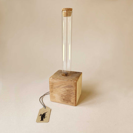Wooden Block Terrarium Holder | Single - Home Accessories - pucciManuli