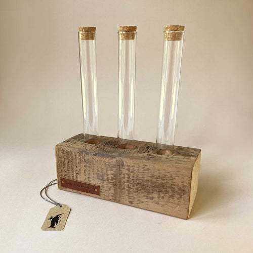 Wooden Block Terrarium Holder | Trio - Home Accessories - pucciManuli