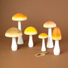 Load image into Gallery viewer, Wooden Mushroom Collection | Set of 6