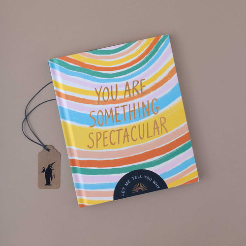 book-cover-of-you-are-something-spectacular-with-rainbow-colors
