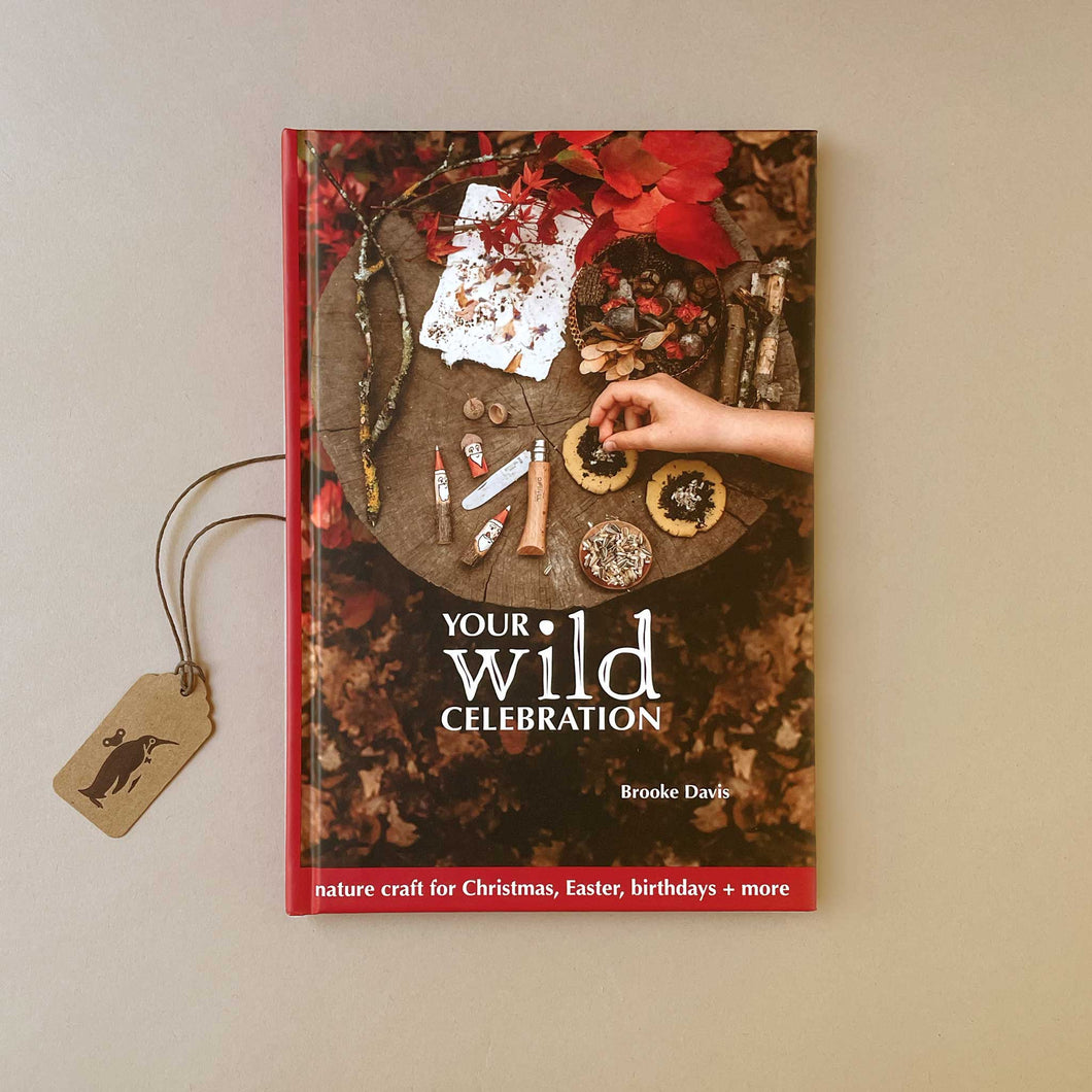 your-wild-celebration-book