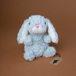 small-fluffy-grey-bunny-with-long-white-ears-and-pink-nose