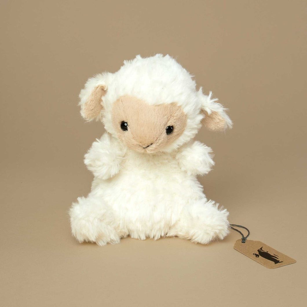 smal-fluffy-white-sheep-with-beige-face-and-black-eyes